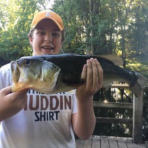 Meet your Posher, Dylan